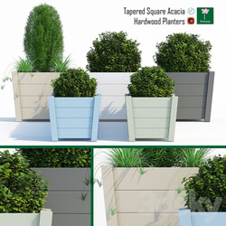 Hardwood planters 2 3D Models 