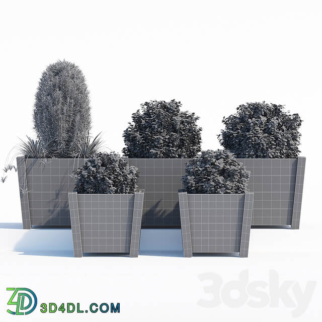 Hardwood planters 2 3D Models