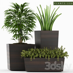 PLANTS 136 3D Models 