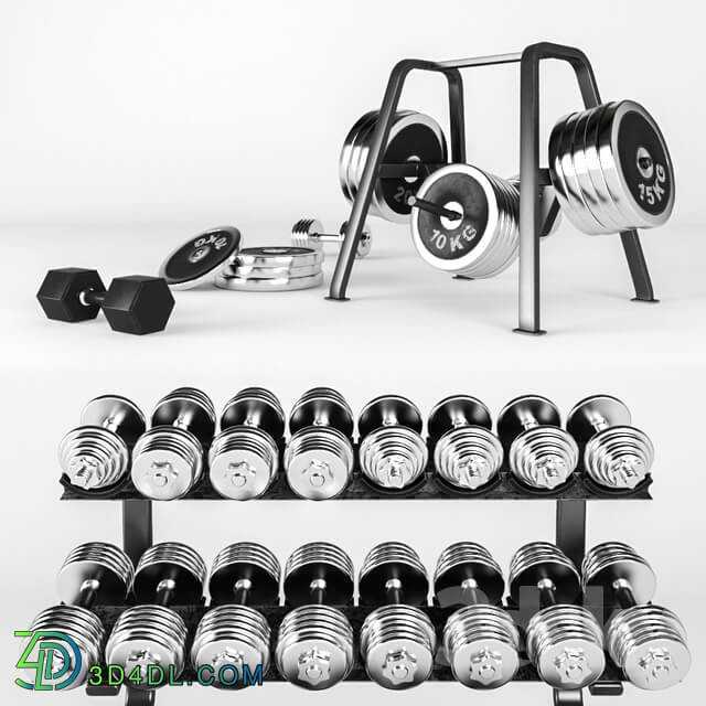 A set of sports dumbbells and pancakes on the racks.