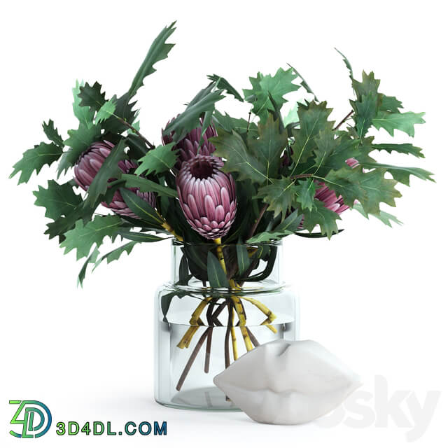 Protea Oak leaves 3D Models