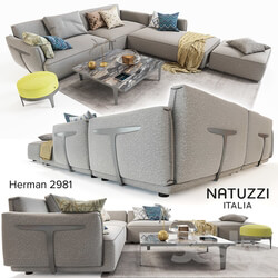 Natuzzi Herman 2981  