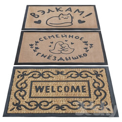 Carpet for the entrance door 2 