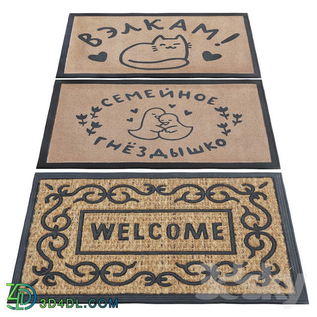 Carpet for the entrance door 2