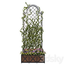 Pergola with flowers Other 3D Models 