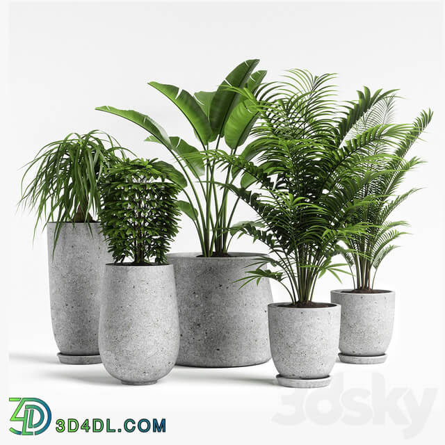 plants set 04 3D Models