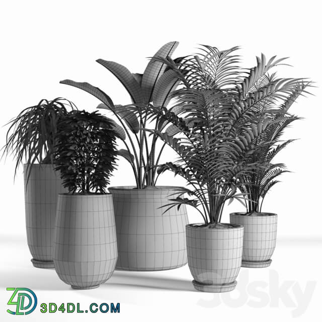 plants set 04 3D Models