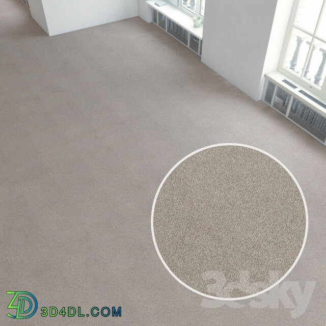 Miscellaneous Carpet covering 122