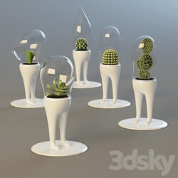 Domsai 3D Models 
