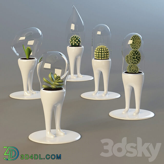 Domsai 3D Models