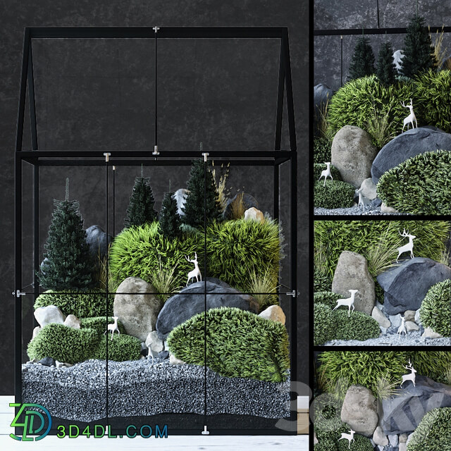 Florarium 3D Models