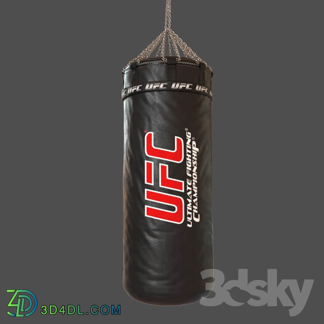 UFC Boxing Bag