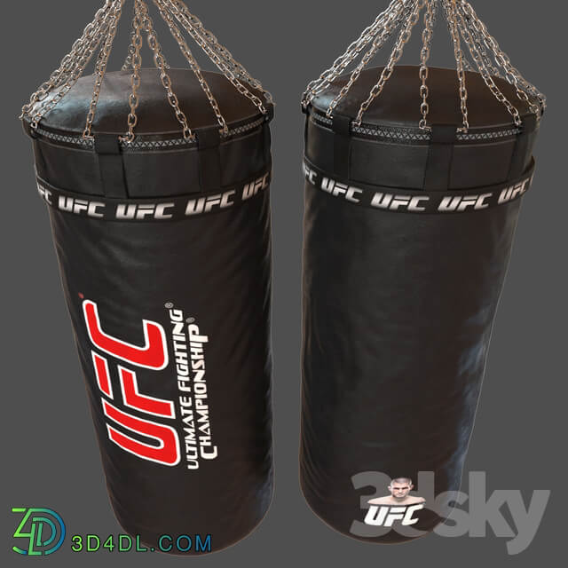 UFC Boxing Bag