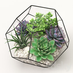Florarium Competition 3D Models 