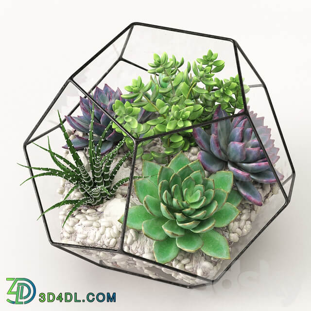 Florarium Competition 3D Models