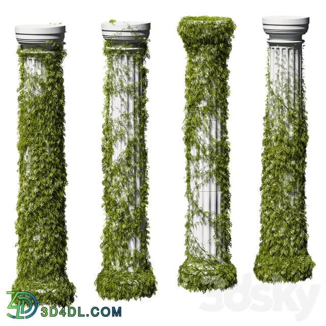 Leaves on a Doric column. 4 models Outdoor 3D Models