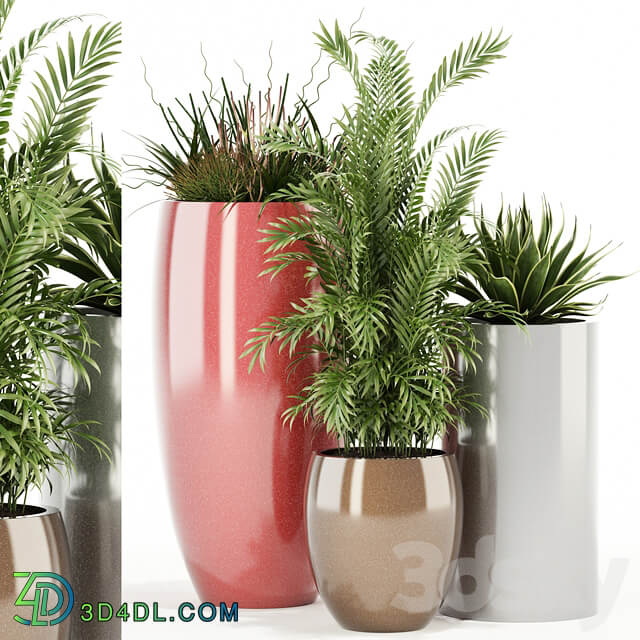Plants collection 100 Awesomeplanters 3D Models