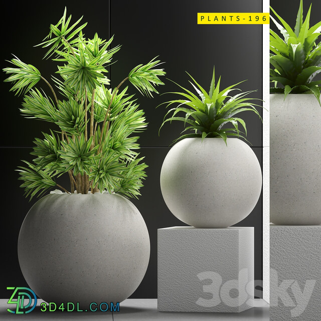 PLANTS 196 3D Models