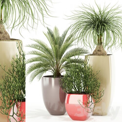 Plants collection 101 Awesomeplanters 3D Models 