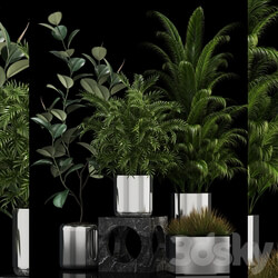 Plants collection 106 3D Models 