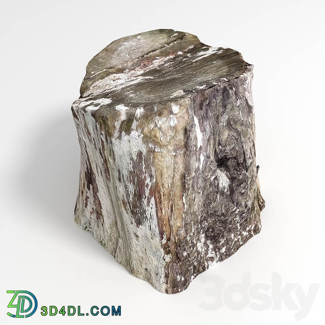 Stump 3D Models