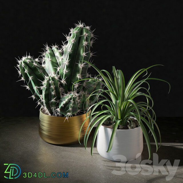 Set of plants 02 3D Models