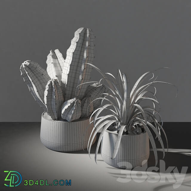 Set of plants 02 3D Models