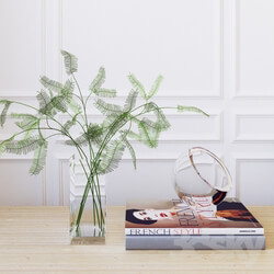 Decorative set ferns  