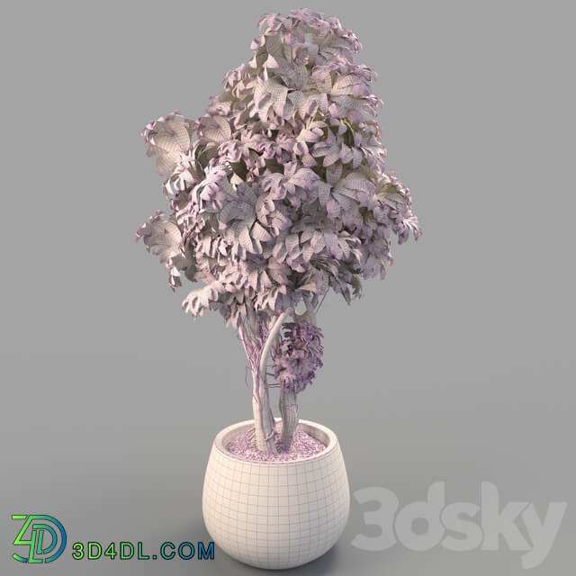 Bush in a pot 3D Models