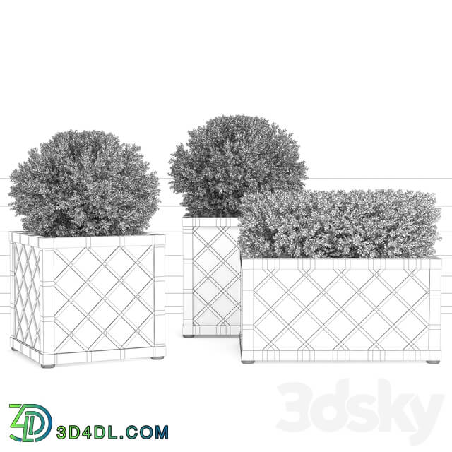 Collection of Plants VI Outdoor 3D Models