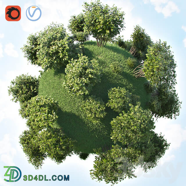 Set of bushes 3D Models