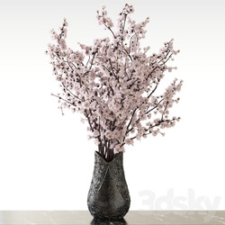 Sakura in a vase 3D Models 