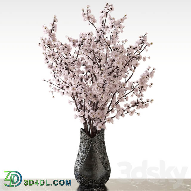 Sakura in a vase 3D Models