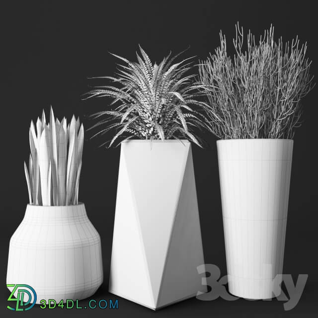 Plant a set of concrete pots with plants
