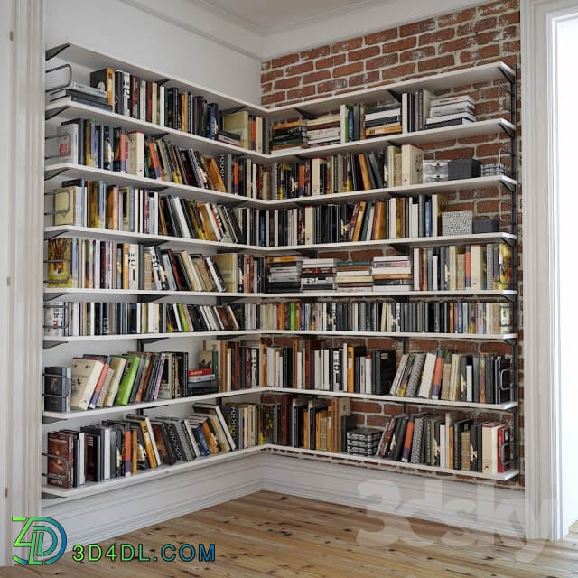 Bookshelves with decor