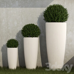 Outdoor Planters 02 3D Models 