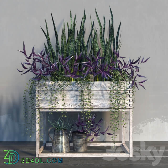 Terrace plants 2 3D Models