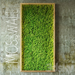 Moss wall Fitowall 3D Models 