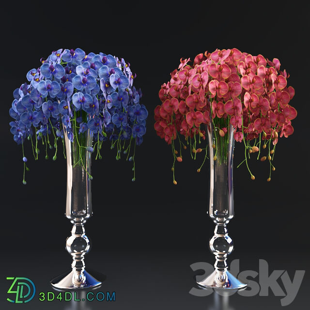orchid bouquet in VG vase 3D Models