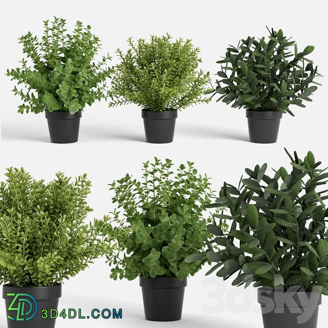 plants set 3D Models