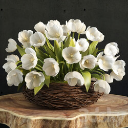 spring tulips in the nest 3D Models 