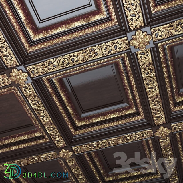 Beamed ceiling Roden