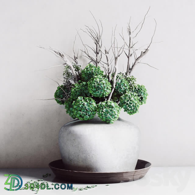 Hydrangea Vase 3D Models