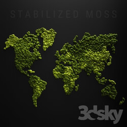 Fitowall Stabilized moss world map 