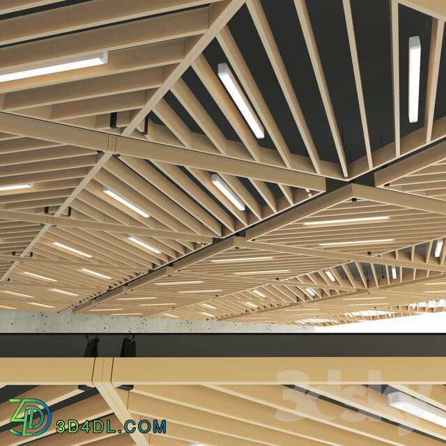 Miscellaneous Wooden suspended ceiling 13
