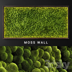 Fitowall Moss wall 2 