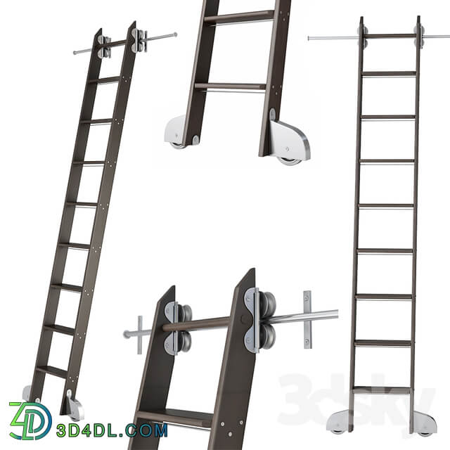 Ladder for home library