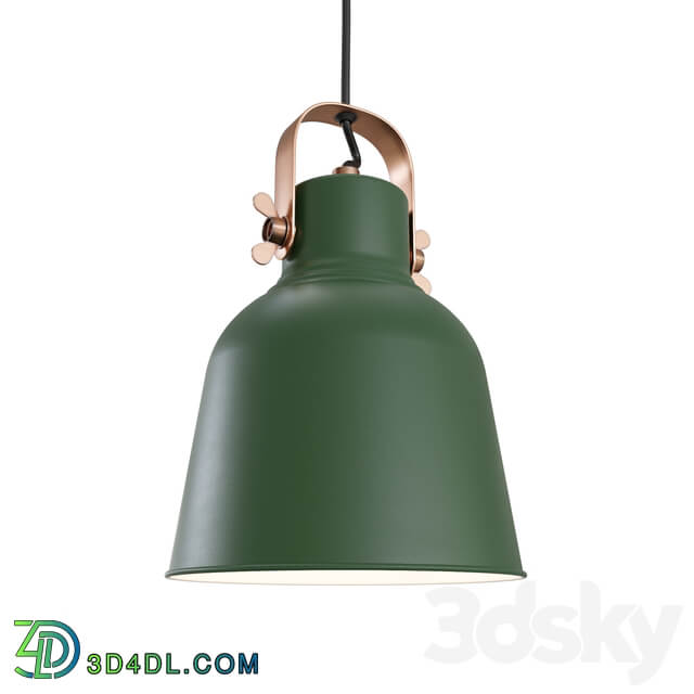 Suspension lamp Eurosvet Projector 50083 1 Pendant light 3D Models