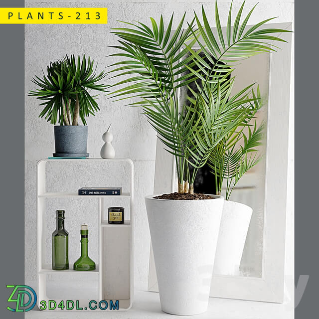 plants 213