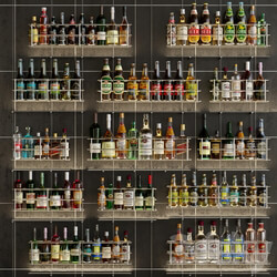 Design project of a bar or restaurant with a beautiful arrangement of bottles. Alcohol 3D Models 